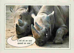 Animaux - Rhinocéros - CPM - Voir Scans Recto-Verso - Rhinocéros