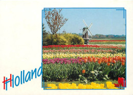 Pays-Bas - Nederland - Holland In Bloementooi - La Hollande En Parure De Fleurs - CPM - Voir Scans Recto-Verso - Weert