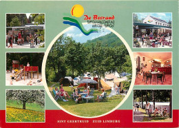 Pays-Bas - Nederland - St Geertruid - Terrassencamping De Bosrand - Multivues - CPM - Voir Scans Recto-Verso - Autres & Non Classés