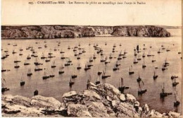 Camaret   P11   CPA 9X14           Les Bateaux De Pêche Au Mouillage Dans L'anse De Penhir - Camaret-sur-Mer