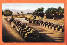 21064 / ⭐ Etat Parfait ◉ KARNAK Louxor Egypt ◉ Sphynx Street ◉ Allée Sphinx Egypte 1905s ◉ CAIRO Postcard Trust 201 - Louxor