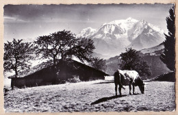 21008 / Au Pays Du MONT-BLANC Haute-Savoie Vie Paisible Dans Les Pâturages Savoyards 1950s Edition ROSSAT-MIGNOD Anne - Autres & Non Classés