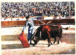 21463 / écrite De USTARITZ 21.08.1957 LA COURSE TAUREAUX - BEAU DERECHAZO Collection CHATAGNEAU N°8 Corrida Cptau - Autres & Non Classés