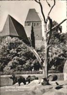 72433182 Berlin Berliner Stadtbaeren Am Maerkischen Museum Berlin - Autres & Non Classés