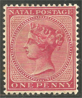 XW03-0037 Natal Reine Queen Victoria One Penny Rose MH * Neuf - Natal (1857-1909)