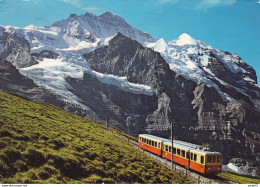 Kleine Scheidegg-Eigergletscher, Jungfraubahn - Trains