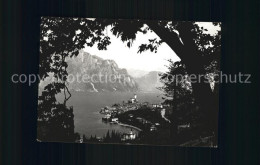 72432813 Malcesine Lago Di Garda Panorama Malcesine - Andere & Zonder Classificatie