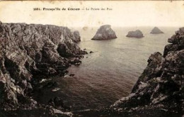 Camaret   P18   CPA 9X14           La Pointe Des Pois ( Aspect Sale) - Camaret-sur-Mer