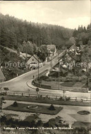 72432190 Tanne Harz Kurpark Mit Waldstrasse Tanne - Sonstige & Ohne Zuordnung