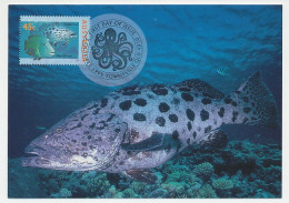 Maximum Card Australia 1995 Fish - Potato Cod - Peces