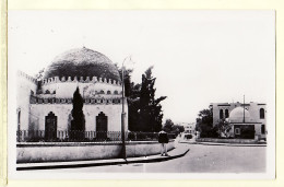 36018 / ⭐ ◉ Tunisie SOUSSE MARABOUT SIDI YAHIA Photo-Bromure 1940s Photo Africaines Tunisia Tunesien Tunez Tunesie - Tunisie