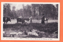 36128 / LA GARETTE VENISE VERTE 79-Deux Sèvres Bétail Au Pâturage Marais Près Barrage Du CHAIL 1940s MARCEAU CARRIERE - Other & Unclassified