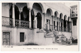 36011 / Tunisie TUNIS Palais BARDO Escalier Des LIONS CPA 1910s B.F. 78 Maghreb Tunisia Tunesien Tunez Tunesie - Túnez