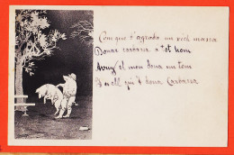 36277 / ⭐ Cochon Accident Vélo Chien Par ESPINASSE Cochons Humanisés 1900s Humanisierte Schweine Humanized Pigs  - Cochons