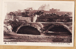 36030 / CARTHAGE Anciennes Citernes De La MALGA Tunisie 1920s CAP 19  Tunisia Tunesien Tunez Tunesië - Tunesië