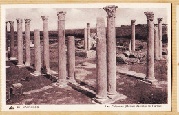 36036 / CARTHAGE Les Colonnes Ruines Derrière Le CARMEL Tunisie 1920s CAP 69 Tunisie Tunisia Tunesien Tunez Tunesië - Tunesië