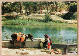 36076 / Tunisie GABES - Oasis  ( De Tréboulbou ) Corvée Approvisionnement Eau Âne Femme Enfant Editions REOUIOUI CHAM - Tunesien