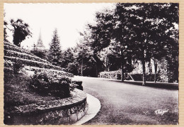 36164 /⭐ ANGOULÊME Charente Monument Le Jardin Vert Et Le Clocher SAINT-AUSONE St 1950s Photo-Véritable THEOJAC 15-23 - Angouleme