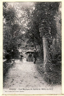 36191 /⭐ COGNAC Charente Pont Rustique Du Jardin De L'HOTEL De VILLE CPA 1910s ¤ Aux Dames France - Cognac