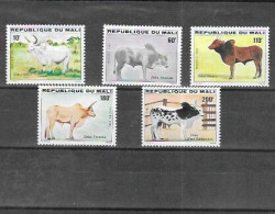 MALI Nº 459 AL 463 - Cows