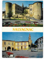 Salvagnac - 1989 - Renault 4 Devant La Mairie - N°276  # 11-23/25 - Salvagnac