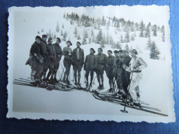 Photo Ancienne    Chasseurs Alpins     CP240160 - Otros & Sin Clasificación