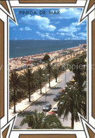 72431050 Pineda De Mar Strand Palmen Pineda De Mar - Other & Unclassified