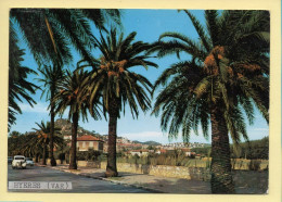 83. HYERES LES PALMIERS – Vue De L'Avenue Godillot (voir Scan Recto/verso) - Hyeres