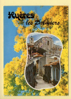 83. HYERES LES PALMIERS – (mimosa) (voir Scan Recto/verso) - Hyeres