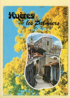 83. HYERES LES PALMIERS – Avenue Gambetta (mimosa) (voir Scan Recto/verso) - Hyeres