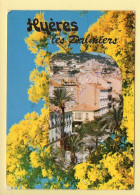 83. HYERES LES PALMIERS – Avenue Gambetta (mimosa) (voir Scan Recto/verso) - Hyeres