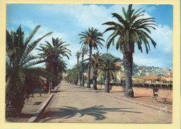 83. HYERES – Les Palmiers De L'Avenue Alexis-Godillat (voir Scan Recto/verso) - Hyeres