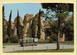 83. FREJUS – Les Arènes / Le Gisant Mémorial Du Barrage De Malpasset - Frejus