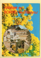 83. Souvenir De BORMES-LES-MIMOSAS (voir Scan Recto/verso) - Bormes-les-Mimosas