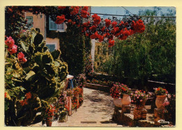 83. BORMES-LES-MIMOSAS – 1er Village Fleuri De France – Le Pouli Canto (voir Scan Recto/verso) - Bormes-les-Mimosas