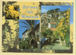 83. BORMES-LES-MIMOSAS – 2 Vues / Mimosas (voir Scan Recto/verso) - Bormes-les-Mimosas