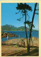 83. L'ESTEREL Et Ses Roches Rouges / La Corniche D'Or (animée) (voir Scan Recto/verso) - Otros & Sin Clasificación