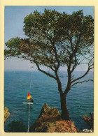 83. CAVALIERE – Calanque (voir Scan Recto/verso) - Other & Unclassified