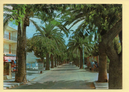 83. SANARY-SUR-MER – L'Avenue De Portissol (animée) (voir Scan Recto/verso) - Sanary-sur-Mer