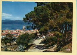 83. SAINT-TROPEZ – Vue Générale (voir Scan Recto/verso) - Saint-Tropez