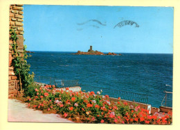 83. LE DRAMONT – Terrasse Fleurie Surplombant La Mer (voir Scan Recto/verso) - Saint-Raphaël