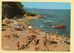 83. SAINT-AYGULF – La Calanque Du Four à Chaux (animée) (voir Scan Recto/verso) - Saint-Aygulf