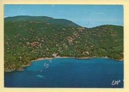 83. LE RAYOL – La Plage Du Rayol Et L'Hôtel Bailli De Suffren – Vue Aérienne (voir Scan Recto/verso) - Rayol-Canadel-sur-Mer