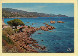 83. SAINT-CLAIR – Au Loin La Fossette / Cavalière Et Le Cap Nègre (voir Scan Recto/verso) - Le Lavandou