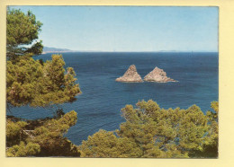 83. LA SEYNE-SUR-MER – Vue Sur Les Deux Frères (voir Scan Recto/verso) - La Seyne-sur-Mer