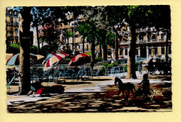 83. TOULON – Jardins De La Place De La Liberté (animée, Enfants, Jeux, Chevaux à Pédales) CPSM - Toulon
