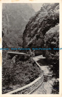 R131680 Environs De Grasse. Gorges Du Loup Pont De L Abime. La Cigogne - Wereld