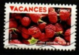 FRANCE    -   2009 .  Y&T N° 329 Oblitéré.    Vacances  /  Framboises. - Used Stamps