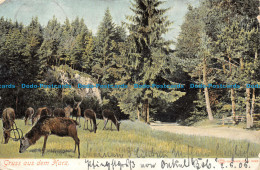 R131689 Gruss Aus Dem Harz. Louis Glaser. 1906 - Wereld