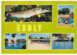 Esbly - 1974 - Baignade - Pêche # 2-13/10 - Esbly